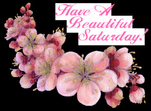 Saturday Comment Codes for Friendster & Tagged