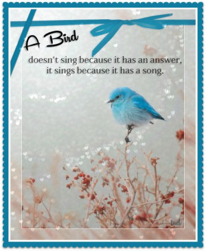 song bird quote