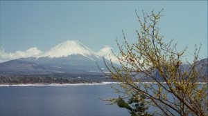 HD Mount Fuji / Vulcano / Spring / Japan – Stock Video # 380-557-250