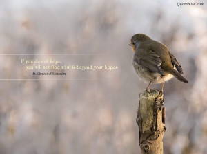 ... With Quotes Gallery: Beautiful Pictures With Quotes Lonely Bird