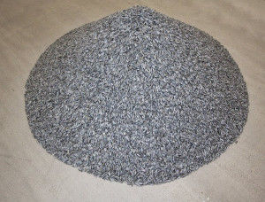 Seeds of a Chinese spring