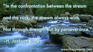 In the confrontation between the stream and the rock, the stream ...