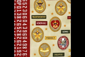 Boy scouts of america - The following Boy Scouts