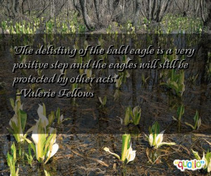 the delisting of the bald eagle is a very positive step and the eagles ...