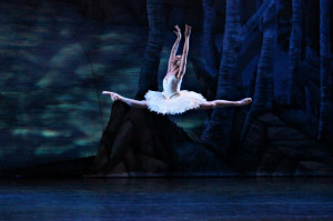 Famous Ballet Quotes Queensland ballet's swan lake
