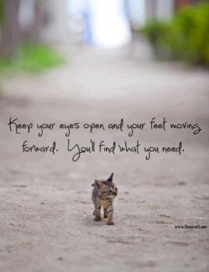 Keep your eyes open and your feet moving forward. you will find what ...