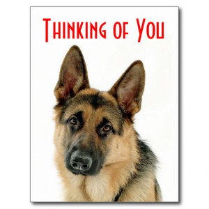 Thinking Of You German Shepherd Puppy Dog Postcard