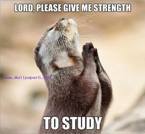 Strength to study