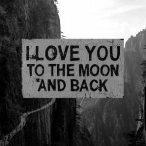 love you 2 the moon n back quote