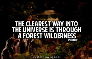 The clearest way into the universe is through a forest wilderness.