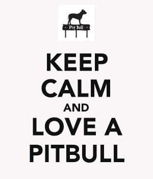 love pitbull love by napalama democracy is the art of pitbull love out ...