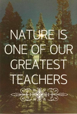 nature #pagan #witch #paganism #wicca #wood #forest #world #respect