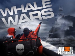 Watch Whale Wars Season 4 Episode 1 Battle Cry Online . This TV series ...