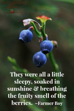 ... quote from Farmer Boy. Blueberries = summer! #summer #blueberry #quote