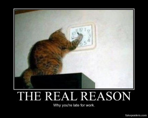 The Real Reason - Demotivational Poster