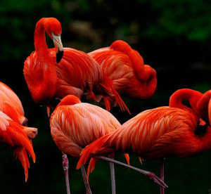 21. Burn the candles, use the nice sheets, wear the fancy lingerie ...