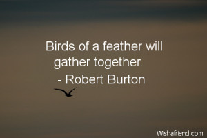 bird-Birds of a feather will gather together.