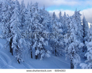 Winter Wonderland Stock Images Winter wonderland. Rocky Mountains ...