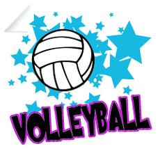 Volleyball Wall Decals
