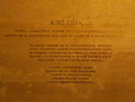 More of quotes gallery for Aime Cesaire's quotes