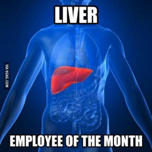 liver is the employee of the month