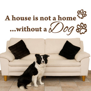 ... Wall Stickers / A House Is Not A Home Without A Dog Wall Sticker Quote