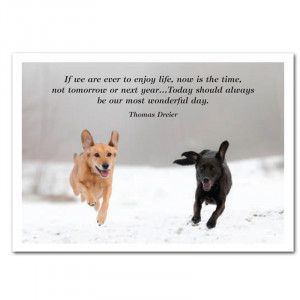 two dogs running in snow with Thomas Dreier quote;