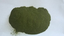 supply Taiwan Strait lettuce powder ulva powder,chicken feed,pig feed ...
