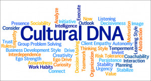 ... measure and analyze to build an organization’s Cultural DNA profile
