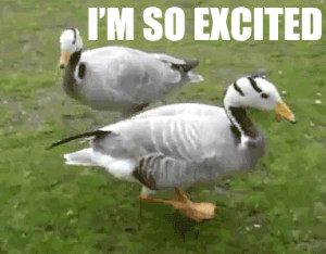 Im So Excited Duck