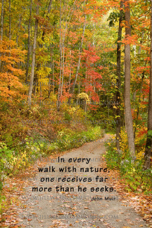 In Every Walk With Nature One Receives Far More Than He Seeks