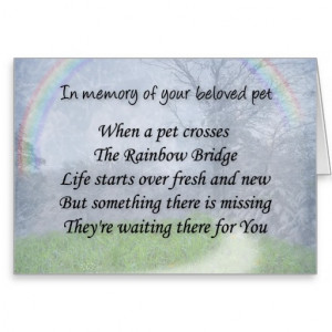 Pet loss sympathy card - pet waits for you