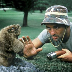 caddyshack gopher tags movies caddyshack
