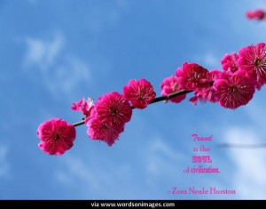 Quotes by zora neale hurston