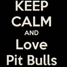 PRIMITIVE SIGN - Home Is Where Your Pitbull Is or Pitbulls Are