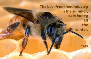 quotes about honey bees