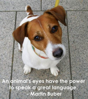 Animal Quote Images