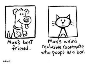 Dogs vs. Cats: And Why Dogs Are Better
