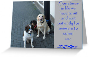quotes about waiting patiently. quotes about waiting patiently. A ...