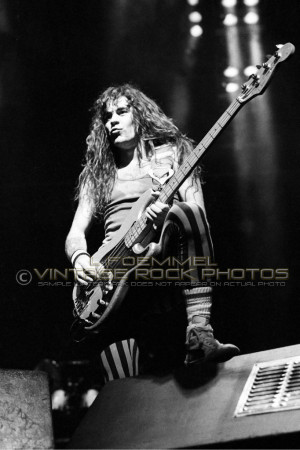 Funny Quotes Contact Dmca