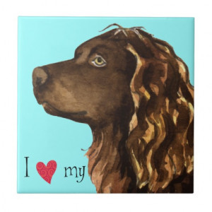 Love my Boykin Spaniel Tiles