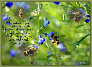 quote nature quotes about nature and life quotes of nature beauty ...