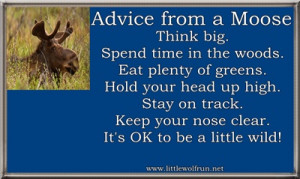 Quotes About Moose