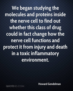 We began studying the molecules and proteins inside the nerve cell to ...