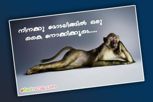 Malayalam Funny Dialogues For Orkut Facebook Movie Quotes 7 Picture