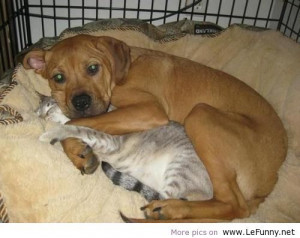 Facebook Spring Scraps Status