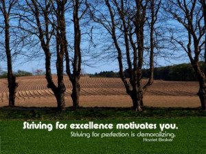 Striving for excellence motivates you; striving for perfection is ...