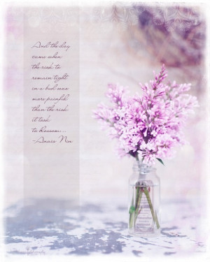 lilac photo #quote #blossom #flower #lilac