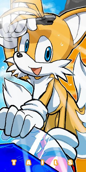 the cute two tailed fox who is sonic s bff