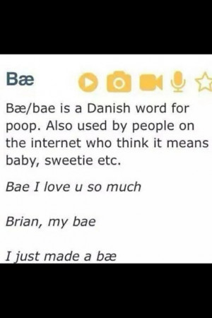 bae, danish, poop, urban dictionary, it's so cute, definition funny